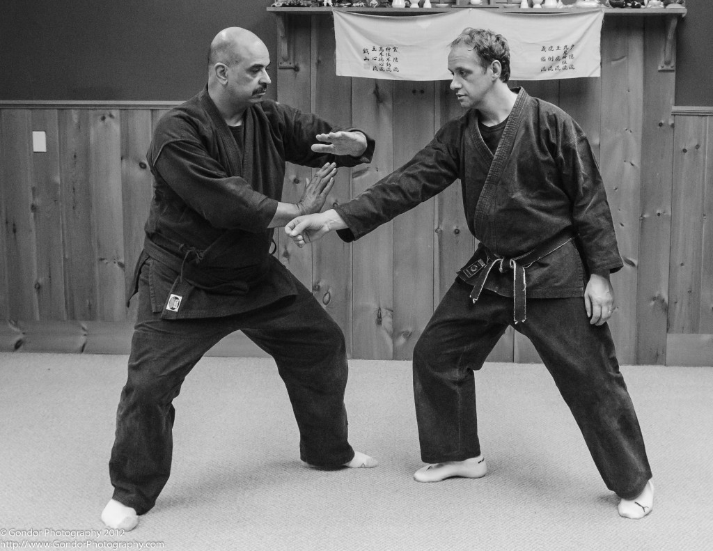 ninpo-taijutsu-body-skill-training-for-self-defense-is-the-freedom-o