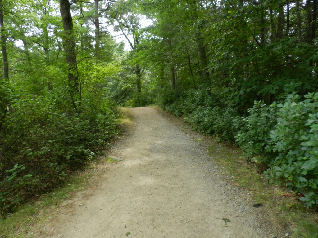 Martial Arts And Ending Violence Boston Martial Arts Center