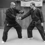 Ninpo Taijutsu (Body skill training for Self Defense) 