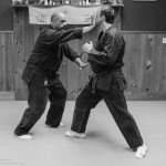 Fundamental and Advance of Ninpo Taijutsu Bootcamp at Boston Martial Arts Center 12/6,7,8/2013