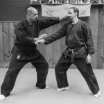 Boston Martial Arts Center (Ninpo Taijutsu Self Defense)